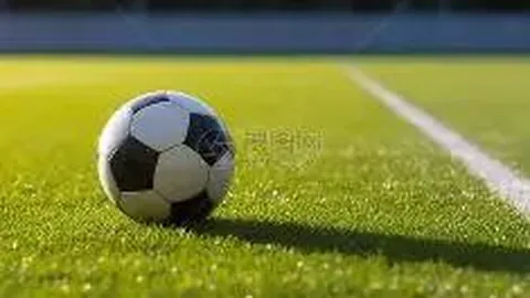 【独家粉丝专享】揭秘比赛精彩瞬间，胜负与总分深度解析！