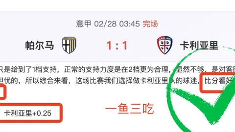 无门槛观看盛宴，即便人手不足，加拉塔萨雷前景依然闪耀？揭秘幕后支持力量！